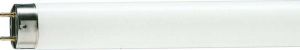 Лампа люминесцентная TL-D 18W/54-765 18Вт T8 6200К G13 PHILIPS 928047305451
