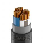 Кабель ВВГнг(А)-LS 4х95 МС (N) 1кВ (м) Кабэкс ТХМ00343540 Кабель ВВГнг(А)-LS 4х95 МС (N) 1кВ (м) Кабэкс ТХМ00343540