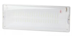 Светильник светодиодный DPA-301-0-65 40LED 3ч IP65 аварийный непостоянный Эра Б0044405 Светильник светодиодный DPA-301-0-65 40LED 3ч IP65 аварийный непостоянный Эра Б0044405